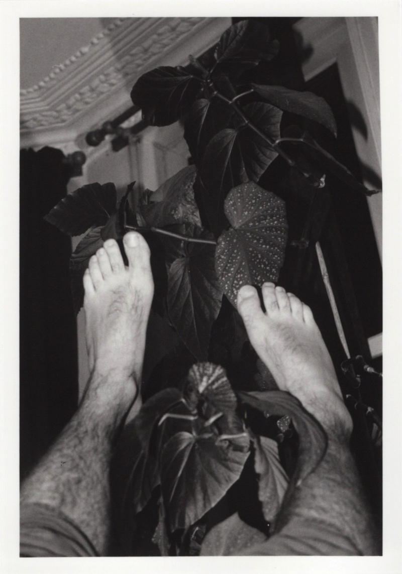 legs and foliage black and white analogue film photograph artwork